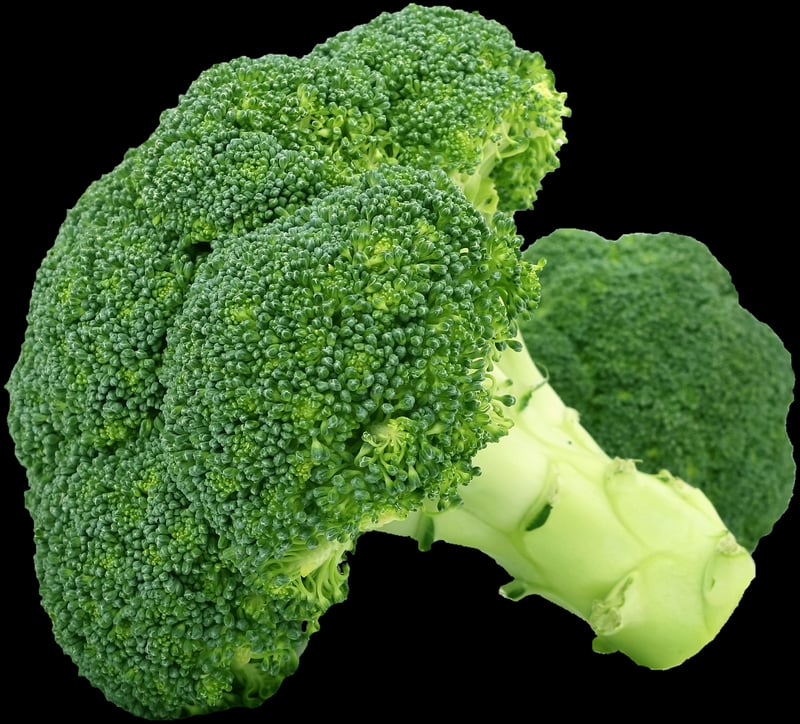 Vegetables in a garden